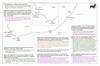coo1f21 south africa_thumb.gif